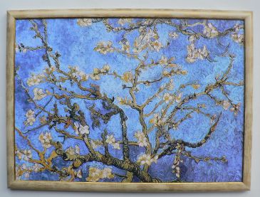 Obrazy - Mandorlo in Fiore, Vincent Van Gogh