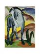 Reprodukce - Expresionismus - Blaues Pferd I - Monaco