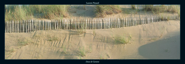 Reprodukce - Fotografie Krajin - Dune de Carteret, Laurent Pinsard