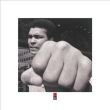 Reprodukce - Fotografie - Muhammad Ali (Fist)