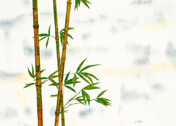 Reprodukce - Květiny - Bambus, Michael Ferner