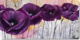 Reprodukce - Květiny - Pavot violet I