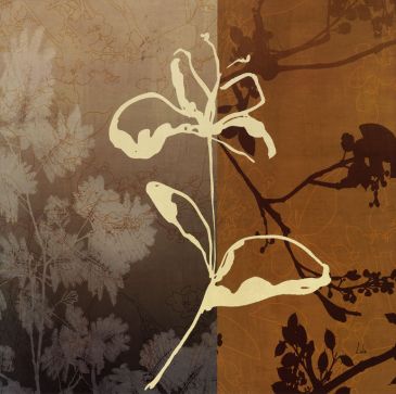 Reprodukce - Květiny - Silhouetted Forest 2, Studio Orbit