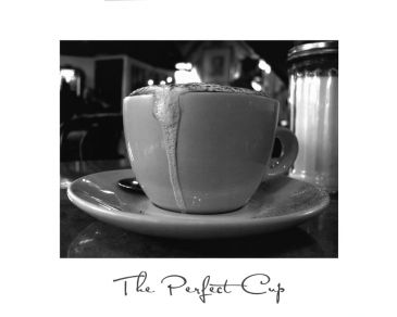 Reprodukce - Požitky - The Perfect Cup, Scott Amour