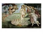 Reprodukce - Renesance - Birth of Venus