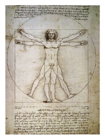 Reprodukce - Renesance - Il corpo umano, Leonardo da Vinci